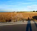 Снимка 5 — Парцел в Асеновско шосе