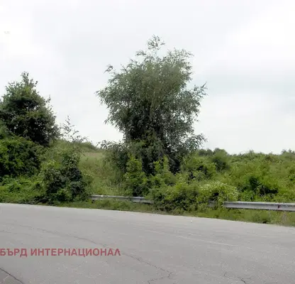 Photo 3 — Plot in Bankya