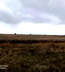 Парцел в Банкя
