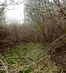 Парцел в Банкя