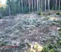 Снимка 4 — Парцел в Благоевград, Банско