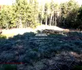 Снимка 5 — Парцел в Благоевград, Банско