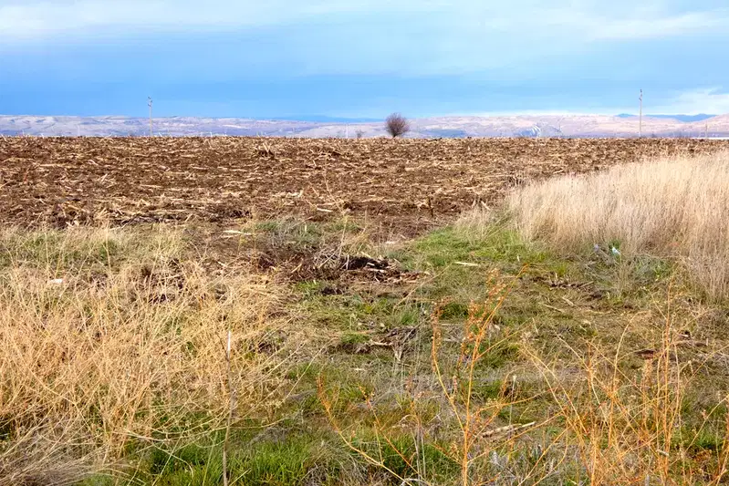 Plot in област София, Bojurishte