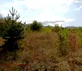 Снимка 2 — Парцел в София, Ботев