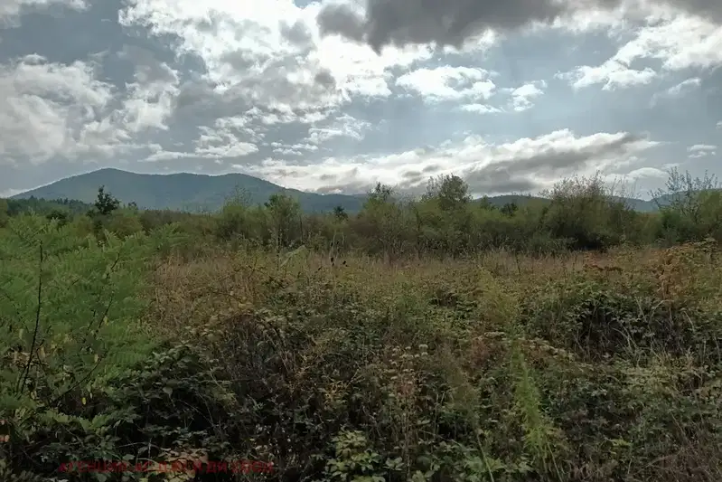 Plot in област София, Ботев