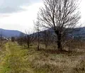 Снимка 5 — Парцел в София, Ботев