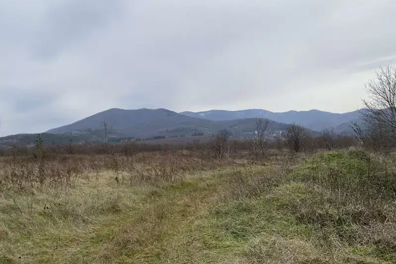 Plot in област София, Ботев