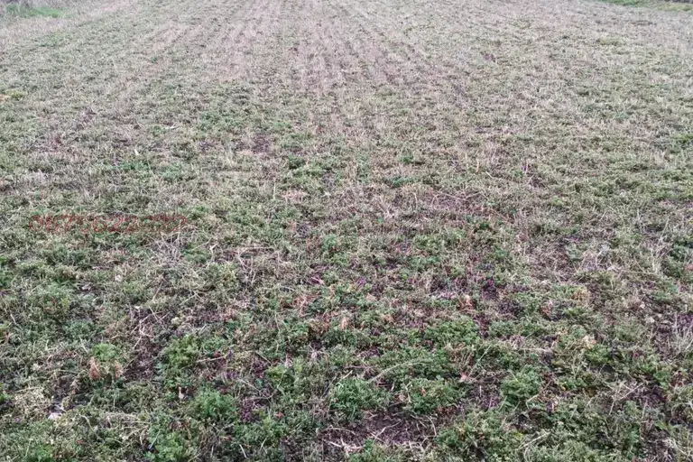 Plot in Oblast Vidin, Bregovo