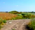 Снимка 3 — Парцел в Бургас, Промишлена зона - Север
