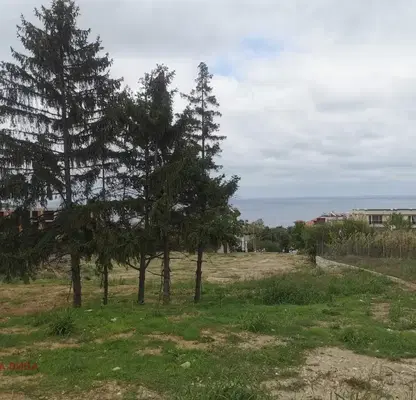 Photo 5 — Plot in Oblast Varna, Byala