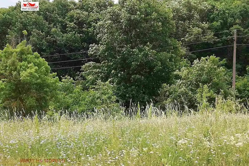 Парцел в Бургас, Царево