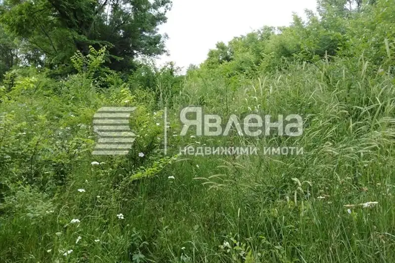 Plot in Oblast Burgas, Carevo