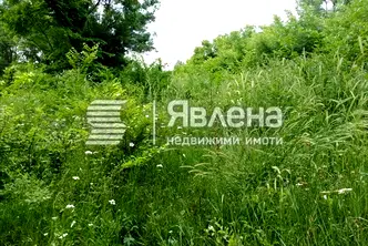 Парцел в Бургас, Царево