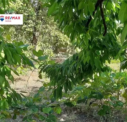 Photo 2 — Plot in Oblast Varna, Devnya