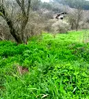 Парцел във Варна, Девня