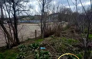 Парцел в Хасково, Димитров