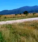Парцел в София, Долна баня