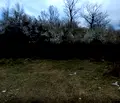 Снимка 3 — Парцел в Кюстендил, Дупница