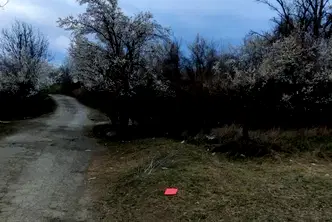 Парцел в Кюстендил, Дупница