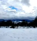 Парцел във Велико Търново, Елена