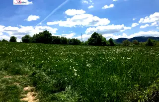 Парцел във Велико Търново, Елена