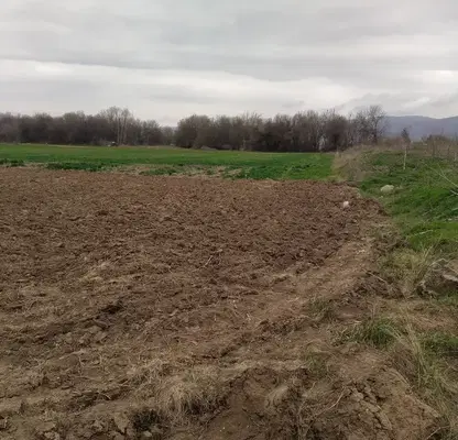 Photo 3 — Plot in област София, Elin Pelin