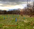 Снимка 2 — Парцел в Габрово, Център