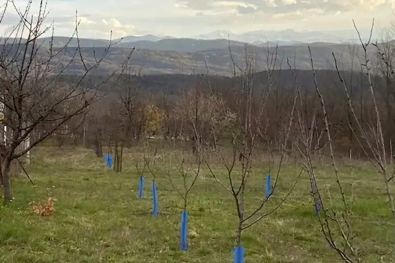 Plot in Gabrovo, Centyr