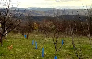 Парцел в Габрово, Център