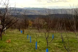 Парцел в Габрово, Център