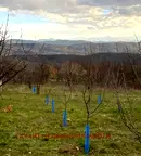 Парцел в Габрово, Център