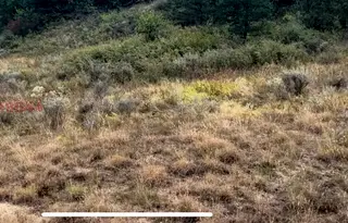 Парцел в Благоевград, Гоце Делчев