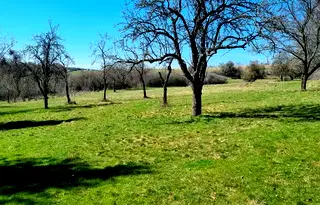 Парцел в София, Годеч