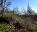 Снимка 3 — Парцел във Велико Търново, Горна Оряховица