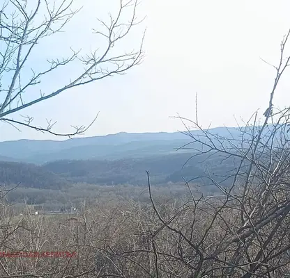 Photo 3 — Plot in Oblast Veliko Tyrnovo, Kilifarevo