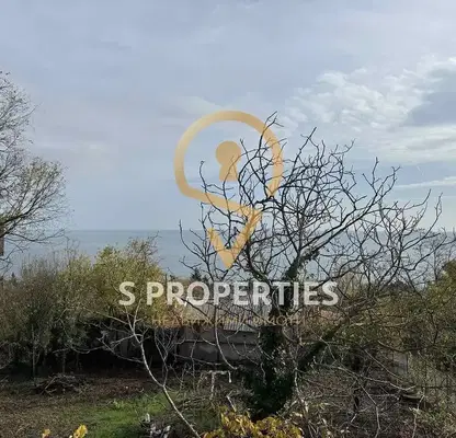 Photo 4 — Plot in к.к. Чайка
