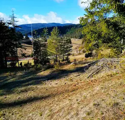 Photo 2 — Plot in Oblast Smolyan, Pamporovo