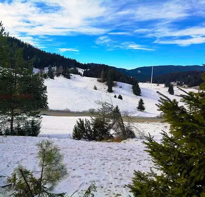 Photo 3 — Plot in Oblast Smolyan, Pamporovo