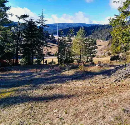 Photo 4 — Plot in Oblast Smolyan, Pamporovo
