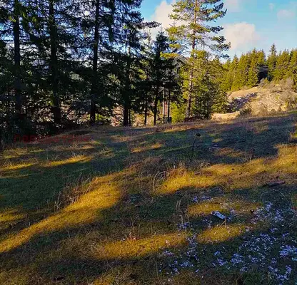 Photo 5 — Plot in Oblast Smolyan, Pamporovo