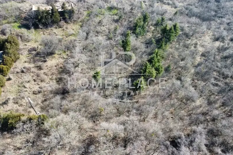 Plot in Zlatni Pyasyci