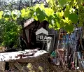 Снимка 3 — Парцел в София, Костинброд