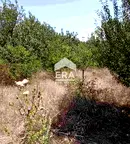 Парцел в София, Костинброд