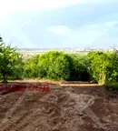 Парцел в Пловдив, Куклен