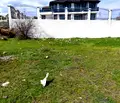 Снимка 5 — Парцел в Кърджали, Веселчане