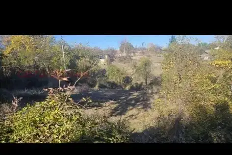 Plot in Kyrdjali, Vyzrojdenci