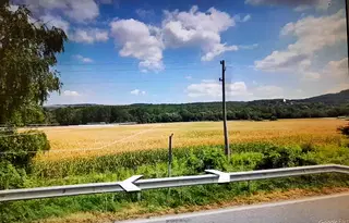 Парцел в Ловеч, Дръстене