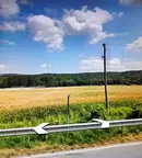 Парцел в Ловеч, Дръстене