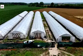Парцел в Русе, Мартен