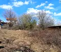 Снимка 3 — Парцел в Монтана, Кошарник